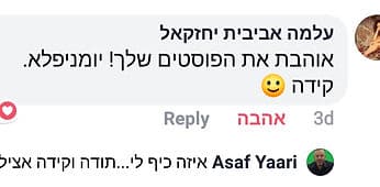 המלצה 24