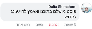 המלצה 84